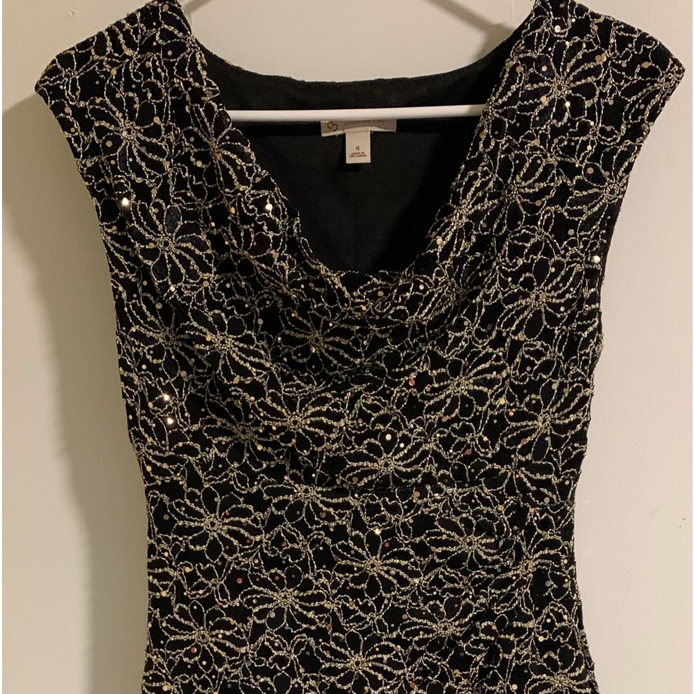 Dressbarn evening dress
